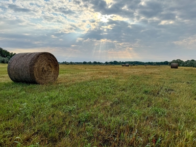 Whitetail Meadows - image 40