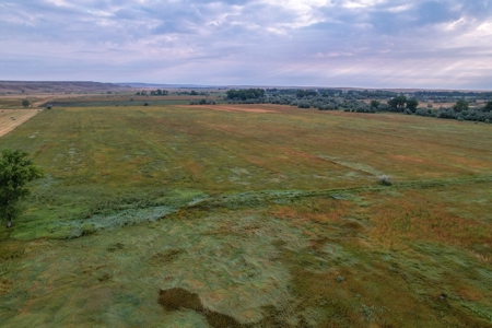 Whitetail Meadows - image 28