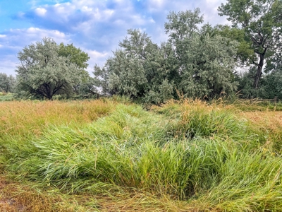 Whitetail Meadows - image 17