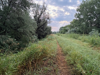 Whitetail Meadows - image 37
