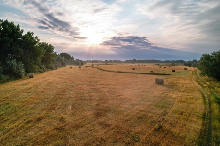 Whitetail Meadows - image 1