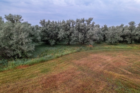 Whitetail Meadows - image 10