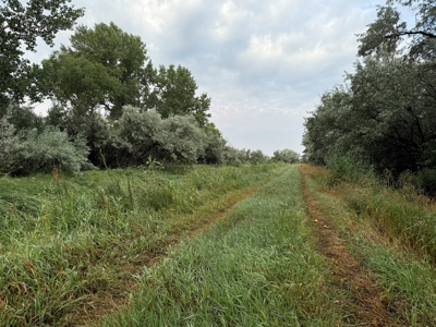 Whitetail Meadows - image 39
