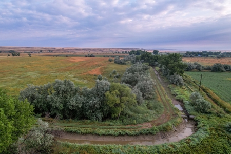 Whitetail Meadows - image 7