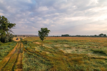 Whitetail Meadows - image 18