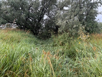 Whitetail Meadows - image 16