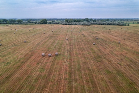 Whitetail Meadows - image 23