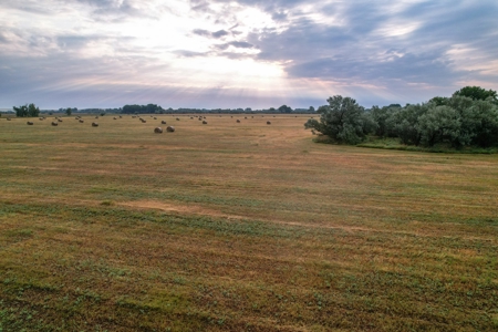 Whitetail Meadows - image 12