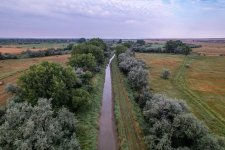 Whitetail Meadows - image 26