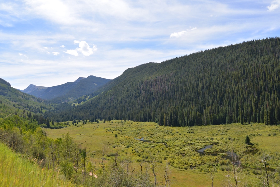 Colorado Mountain Lot