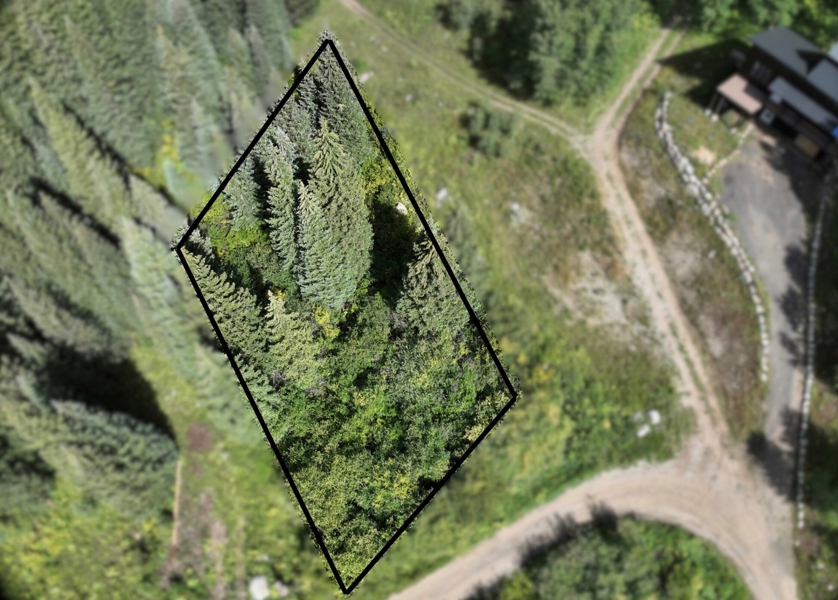 Colorado Mountain Lot