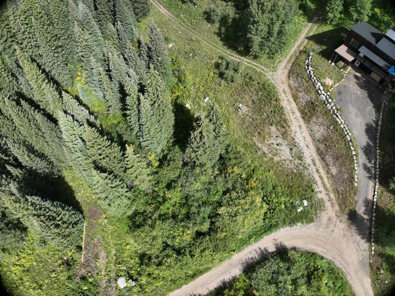 Colorado Mountain Lot