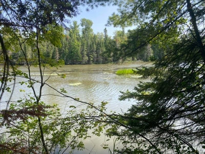 Waterfront Acreage Thunder Bay River For Sale  Hillman MI - image 2