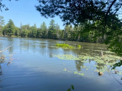 Waterfront Acreage Thunder Bay River For Sale  Hillman MI - image 4