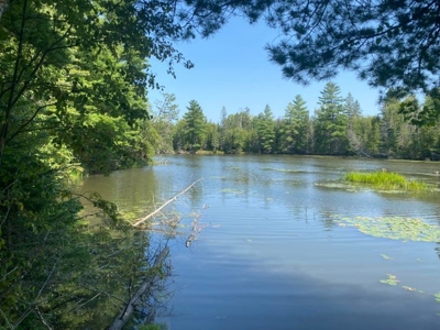 Waterfront Acreage Thunder Bay River For Sale  Hillman MI - image 1