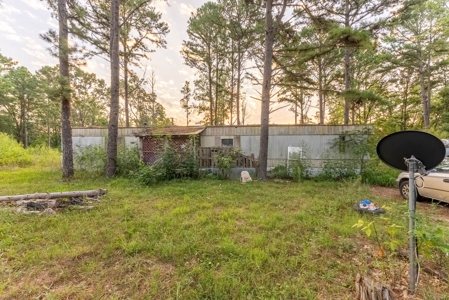 Investment / Multiple Home Property in Texas County MO - image 24