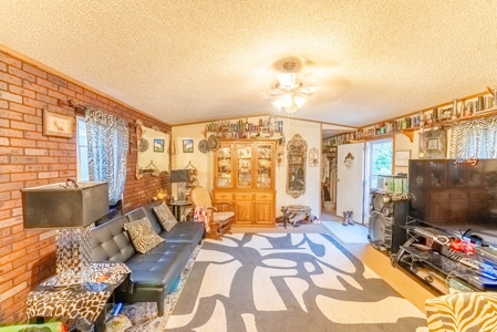 Investment / Multiple Home Property in Texas County MO - image 13