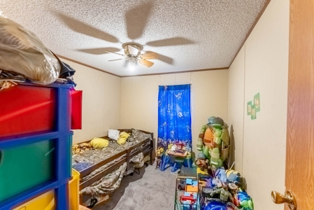 Investment / Multiple Home Property in Texas County MO - image 16