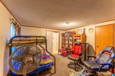 Investment / Multiple Home Property in Texas County MO - image 17