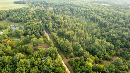 Investment / Multiple Home Property in Texas County MO - image 28