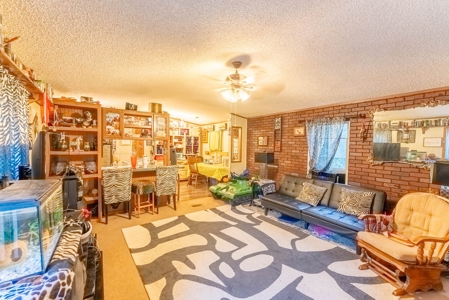Investment / Multiple Home Property in Texas County MO - image 12