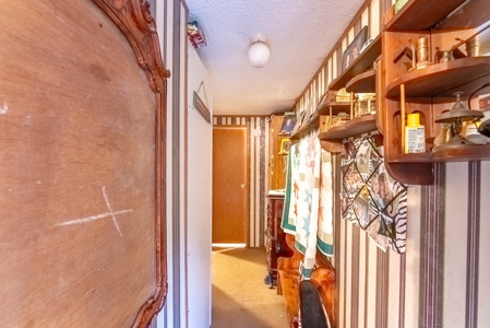 Investment / Multiple Home Property in Texas County MO - image 11