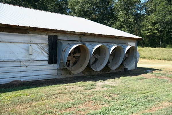 MS Poultry Broiler Farm with House and Tractor Equipment