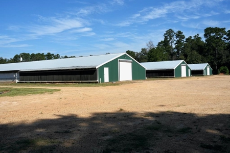 MS Poultry Broiler Farm with House and Tractor Equipment - image 1