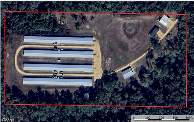 MS Poultry Broiler Farm with House and Tractor Equipment