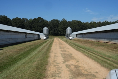 MS Poultry Broiler Farm with House and Tractor Equipment - image 11