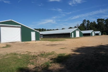 MS Poultry Broiler Farm with House and Tractor Equipment - image 5