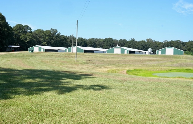 MS Poultry Broiler Farm with House and Tractor Equipment
