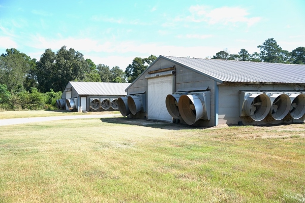 MS Poultry Broiler Farm with House and Tractor Equipment