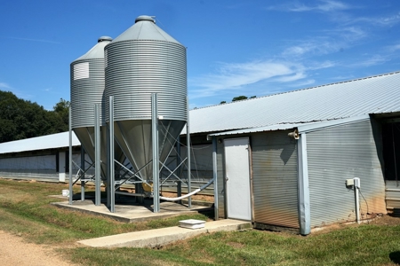 MS Poultry Broiler Farm with House and Tractor Equipment - image 8