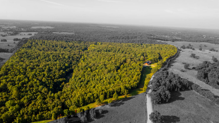 Custom Built Log Cabin and 57 Wooded Acres in Thayer MO - image 45