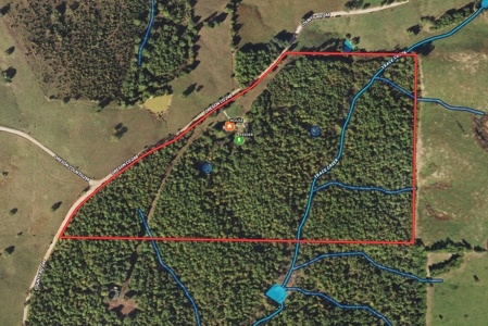 Custom Built Log Cabin and 57 Wooded Acres in Thayer MO - image 3