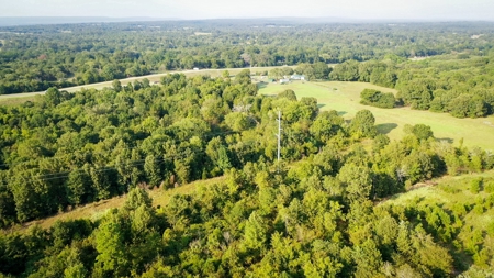 Recreational Land Near Antlers Oklahoma - image 5