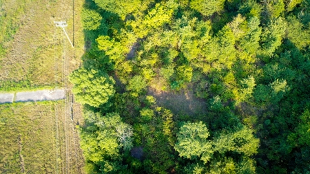 Recreational Land Near Antlers Oklahoma - image 12
