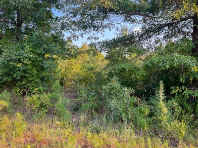 Recreational Land Near Antlers Oklahoma - image 18