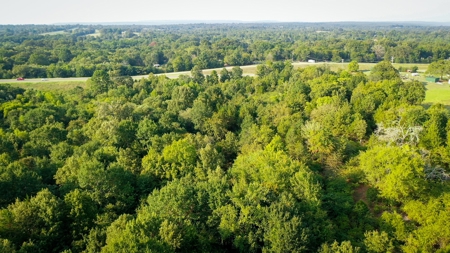 Recreational Land Near Antlers Oklahoma - image 6