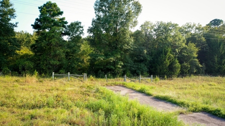 Recreational Land Near Antlers Oklahoma - image 9