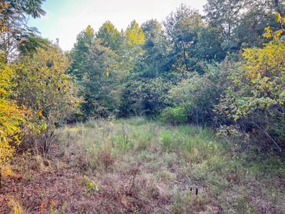 Recreational Land Near Antlers Oklahoma - image 20