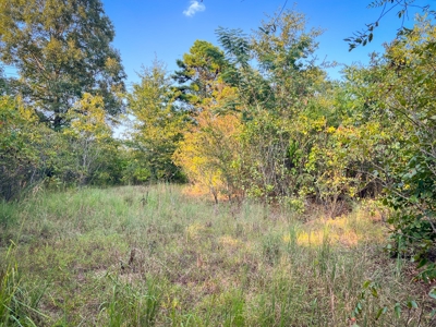 Recreational Land Near Antlers Oklahoma - image 23