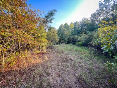 Recreational Land Near Antlers Oklahoma - image 21