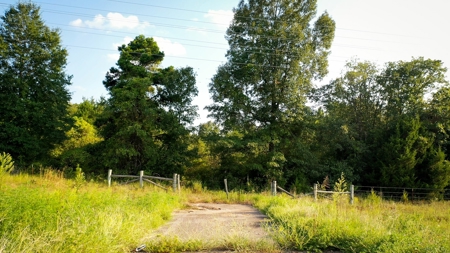Recreational Land Near Antlers Oklahoma - image 10