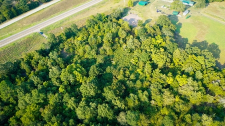 Recreational Land Near Antlers Oklahoma - image 13