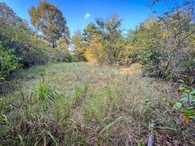 Recreational Land Near Antlers Oklahoma - image 22