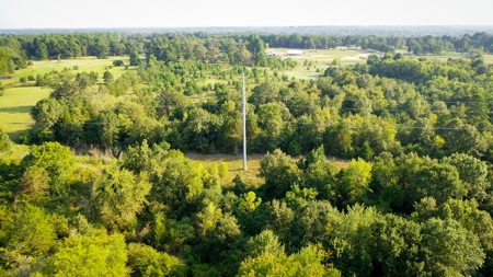 Recreational Land Near Antlers Oklahoma - image 4