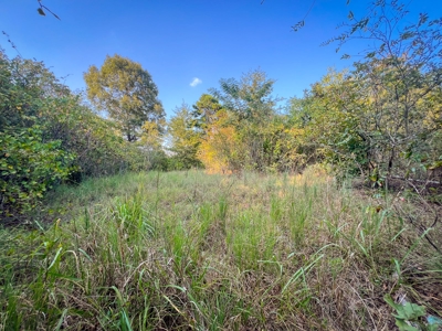 Recreational Land Near Antlers Oklahoma - image 24