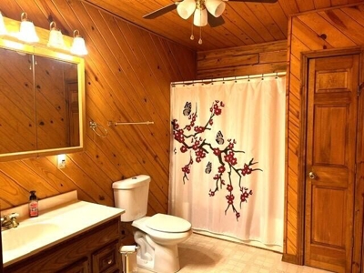 3 Bed 2 Bath Home on 5Acres For Sale Western Grove, Ar - image 14